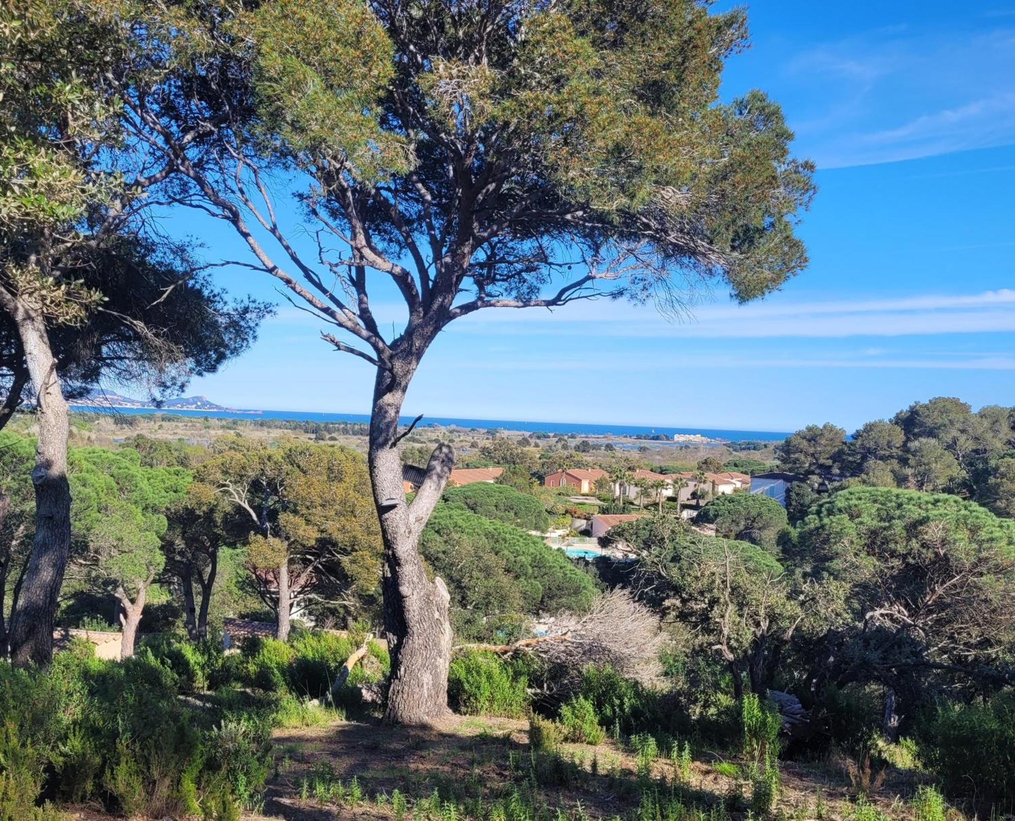 La Joya De Villepey Saint Aygulf Esterno foto